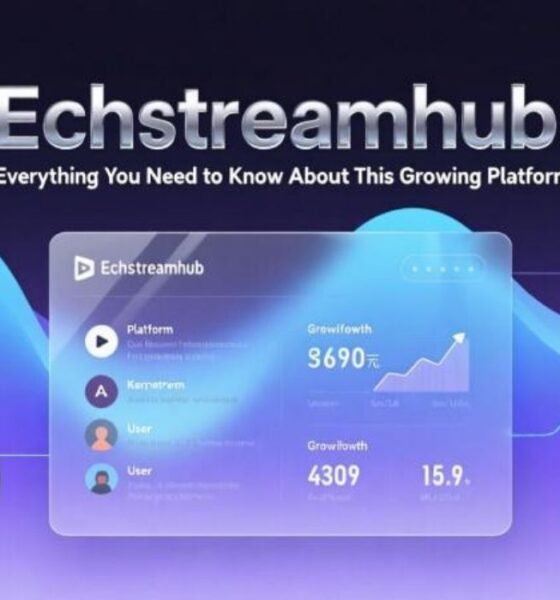 echostreamhub