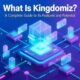 kingxomiz