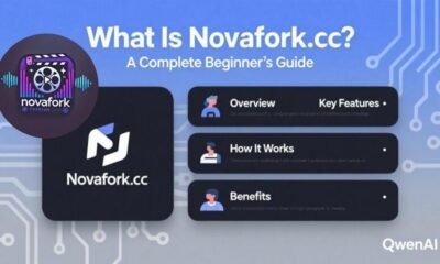 novafork.cc