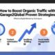 boost organic traffic with garage2global