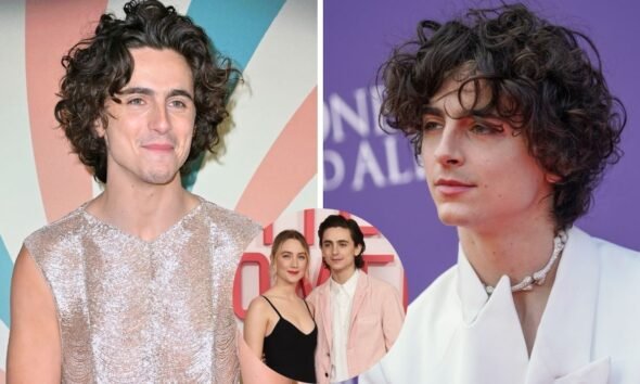timothee chalamet net worth