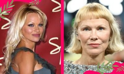 pamela anderson net worth