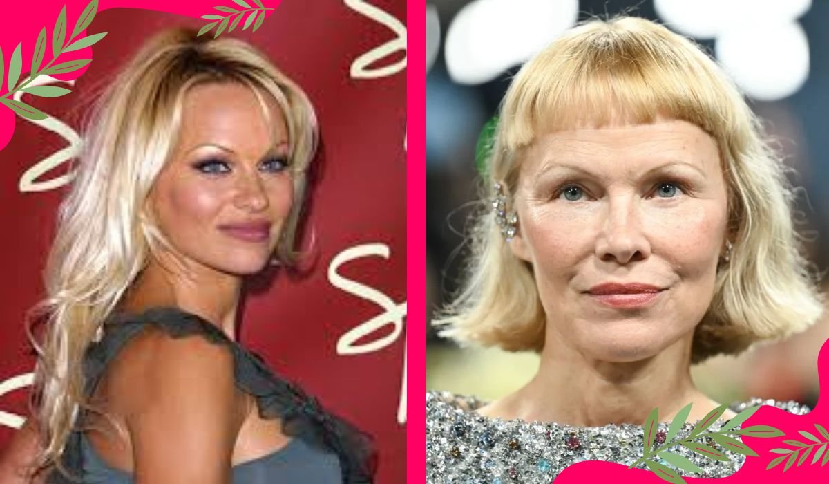 pamela anderson net worth