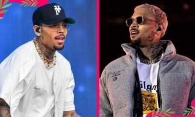 chris brown net worth